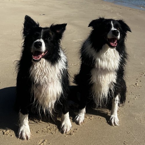 Ava & Sadie